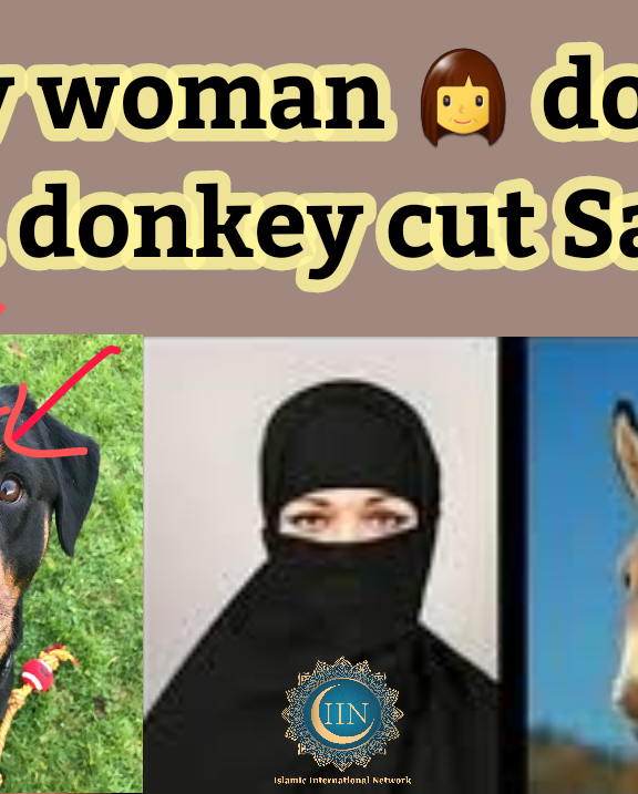 Why Woman cut Salah? Why you kill dogs?