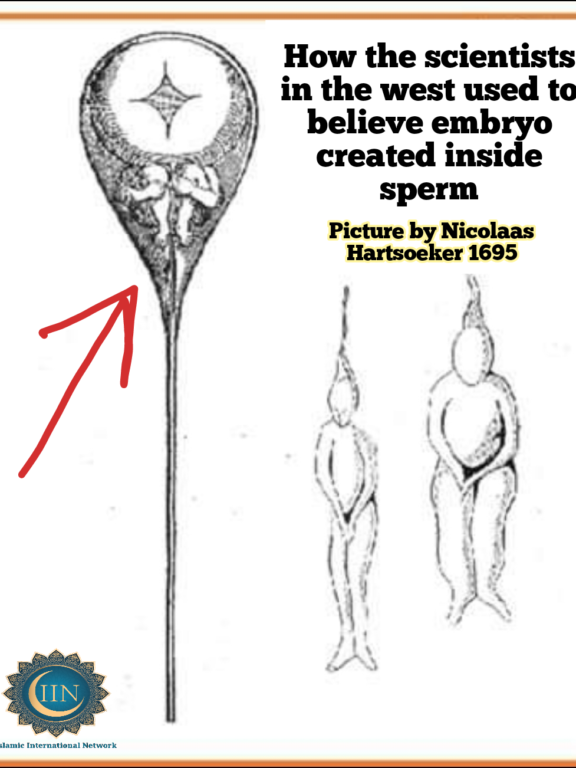 Quran Corrects Scientists on Embryology